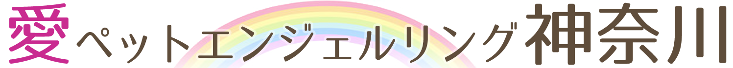 神奈川県の訪問ペット火葬は『愛ペットエンジェルリング神奈川』
